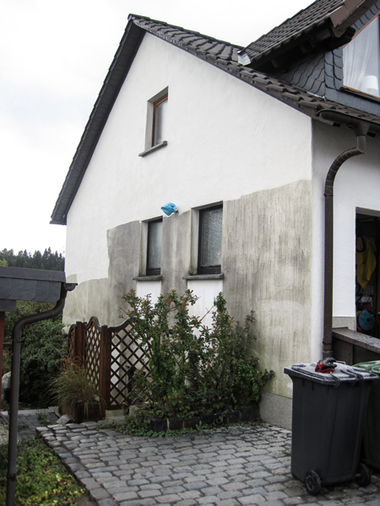 Algenmann.ch - Eschlikon TG - Algenreinigung an Fassaden