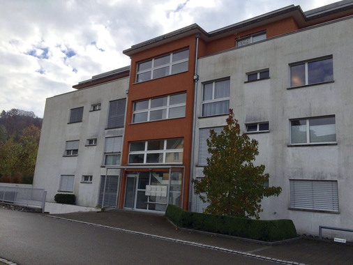 Algenmann.ch - Eschlikon TG - Algenreinigung von Fassaden