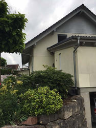 Algenmann Schweiz - Haus in Schaffhausen SH - Fassadenreinigung mit 5 Jahren Garantie
